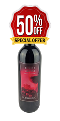 PURPLE GRAPES - SWEET RED WINE IGT 2024